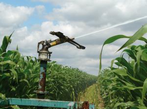 Lirrigation est souvent diabolisée et associée à une agriculture intensive.